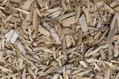 biomass boilers Toftrees